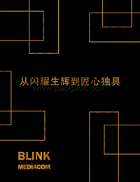 从闪耀生辉到匠心独具.pdf