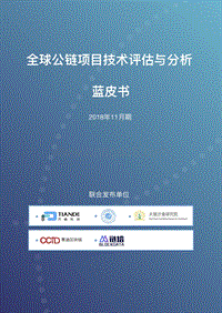 全球共链项目技术评估与分析蓝皮书.pdf