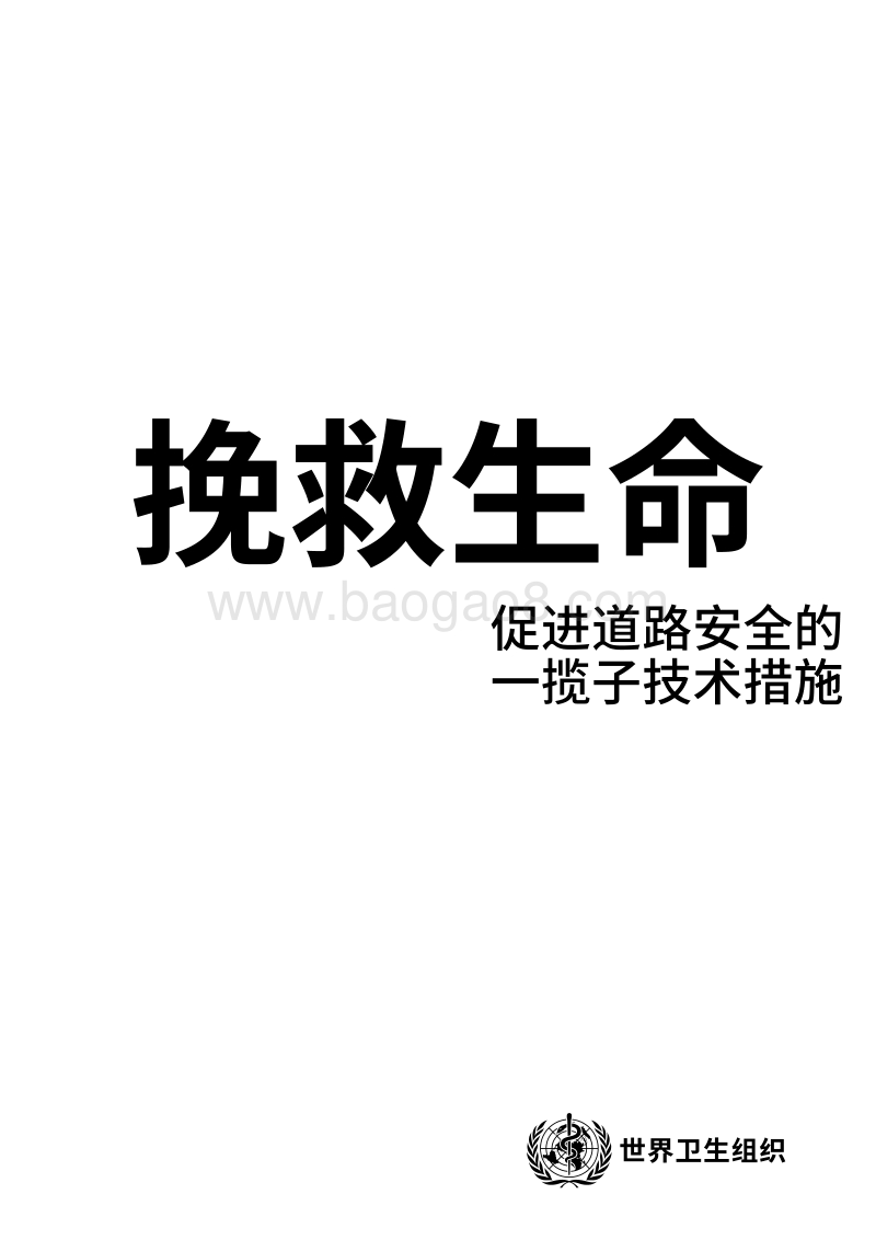 挽救生命：促进道路安全的一揽子技术措施.pdf_第3页