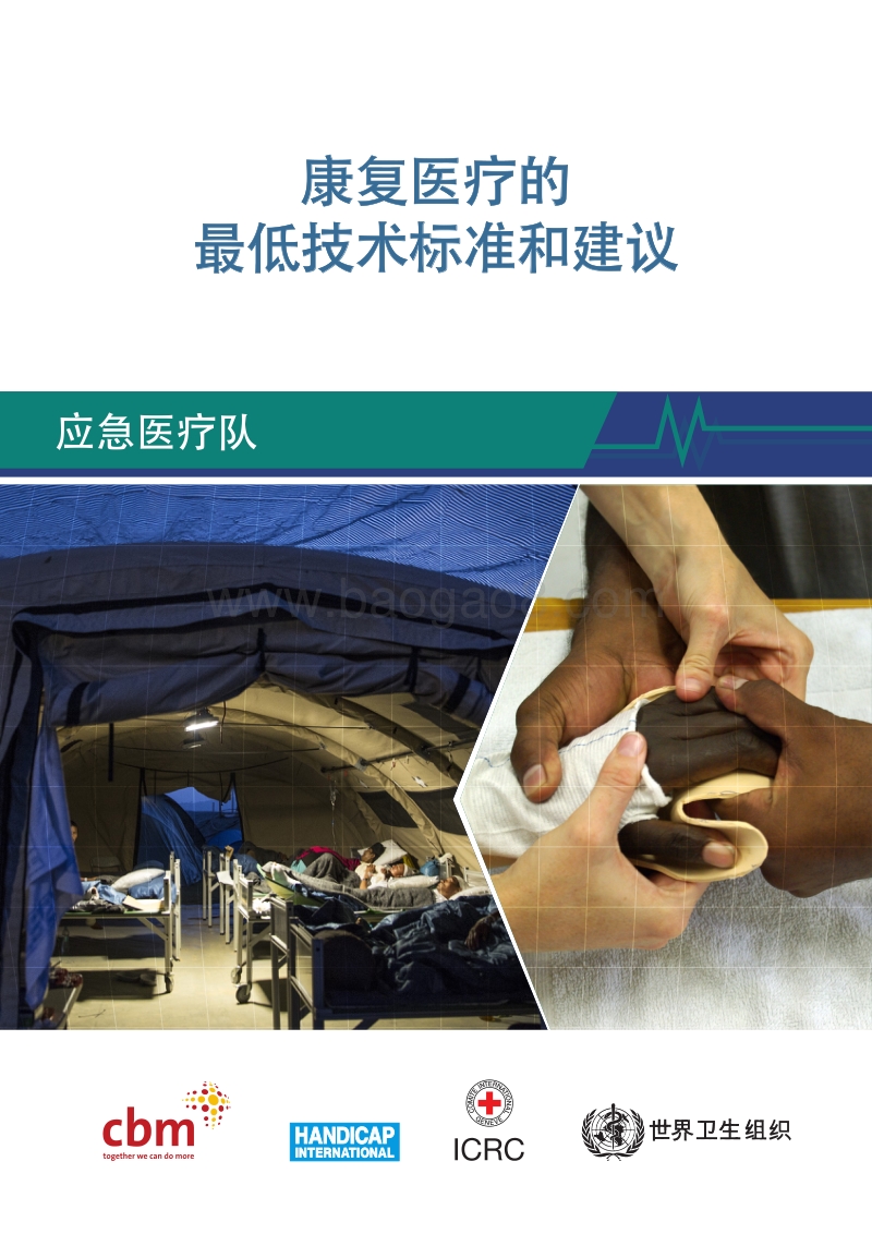 康复医疗的最低技术标准和建议.pdf_第1页