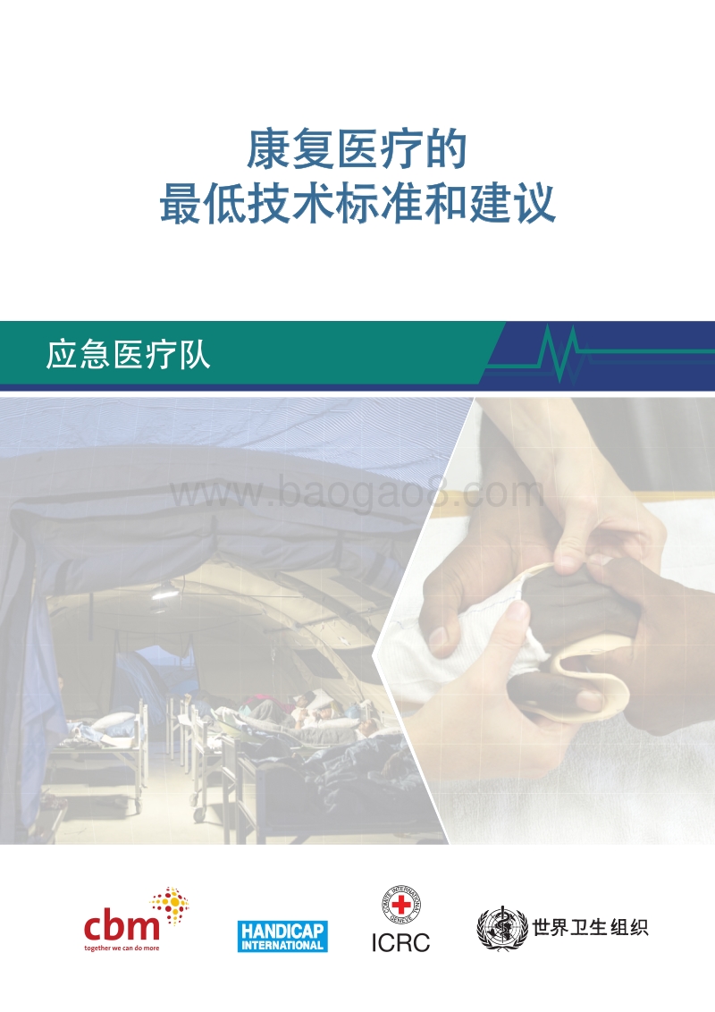 康复医疗的最低技术标准和建议.pdf_第3页