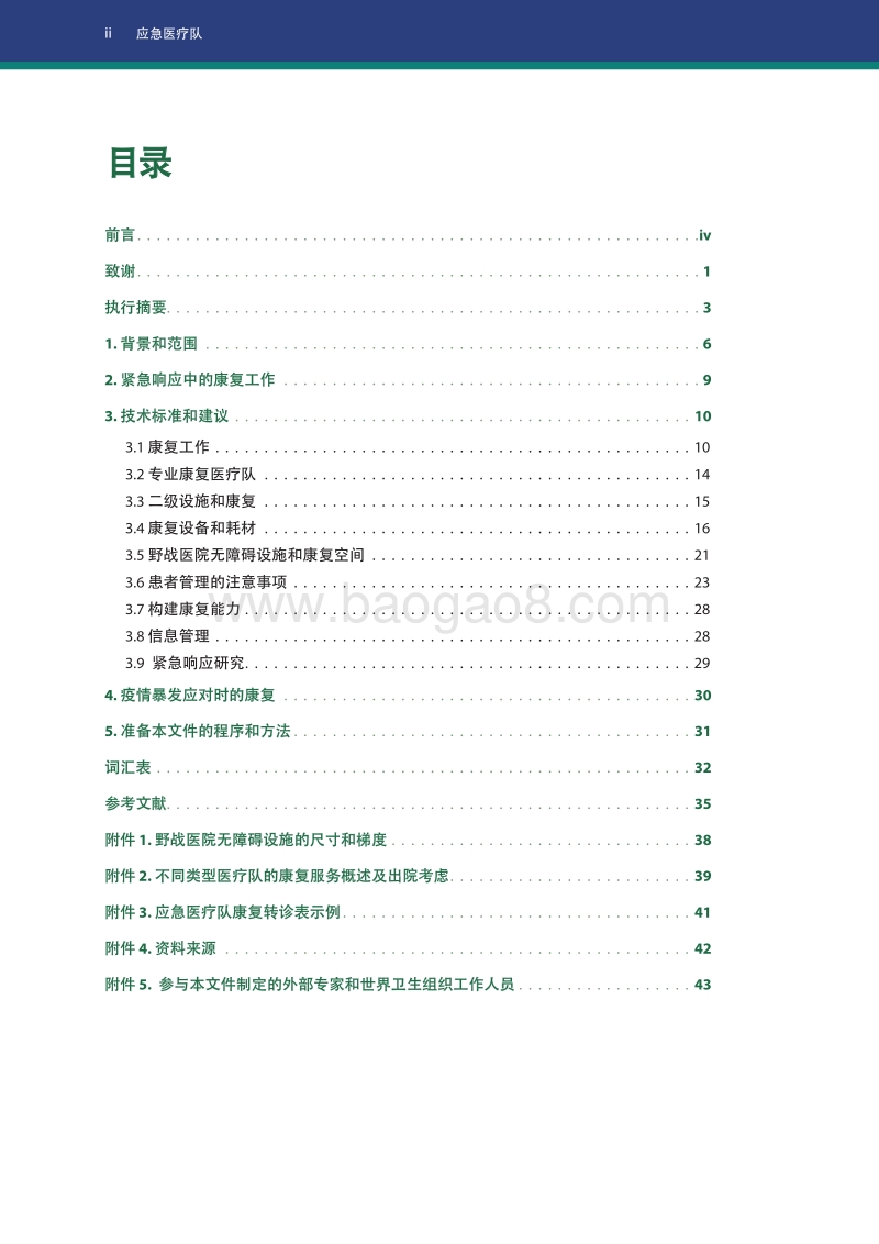 康复医疗的最低技术标准和建议.pdf_第4页