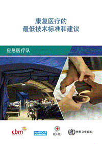 康复医疗的最低技术标准和建议.pdf
