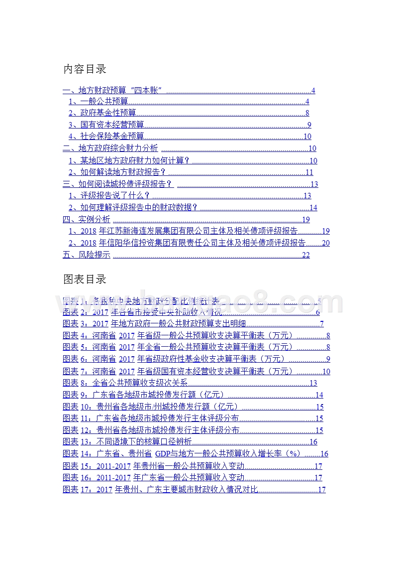 2018-2019地方政府财政分析报告.pptx_第2页