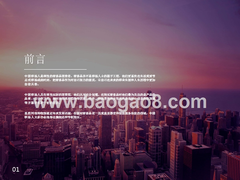 2018-2019中国职场人奢饰品消费研究报告报告.pptx_第3页