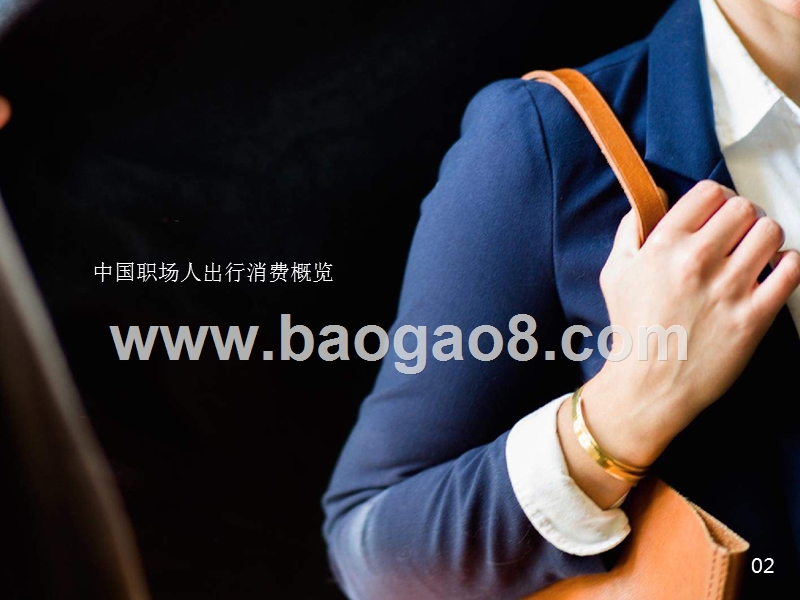 2018-2019中国职场人出行消费研究报告.pptx_第4页