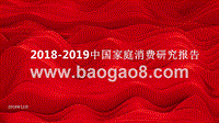 2018-2019中国家庭消费研究报告.pptx