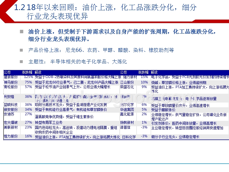 基础化工行业2018总结及2019投资分析报告.pptx_第4页