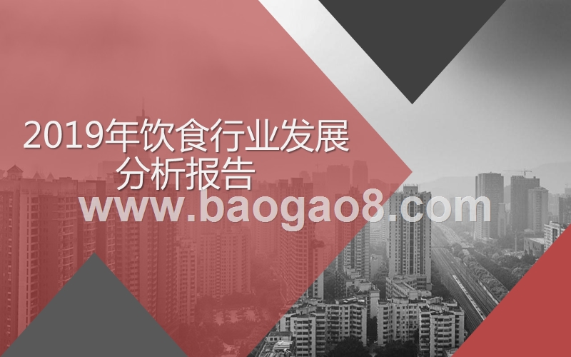 2019年饮食行业发展分析报告.pptx_第1页