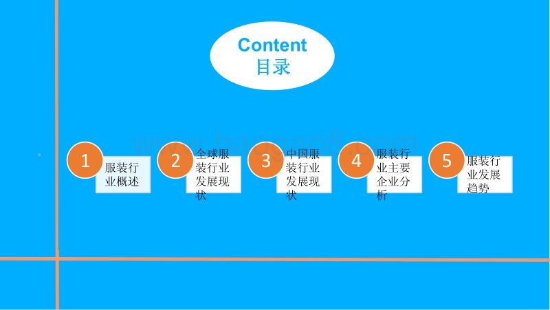 中国服装行业市场前景研究报告.pdf_第2页