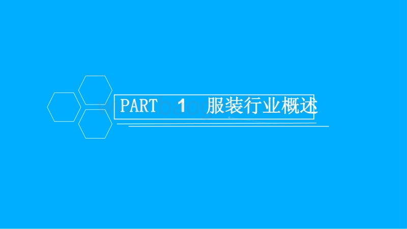 中国服装行业市场前景研究报告.pdf_第3页