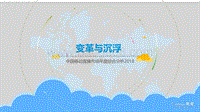 2018中国移动直播市场年度综合分析.pdf