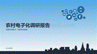 农村电子化调研报告.pdf