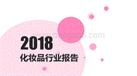 2018化妆品行业报告.pdf