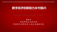 数字经济创新助力乡村振兴.pdf