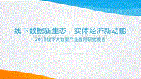2018线下大数据产业应用研究报告.pdf