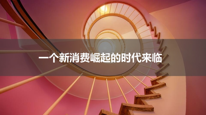 2018新消费崛起趋势白皮书.pdf_第3页
