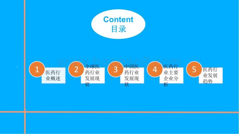 中国医药行业市场前景研究报告.pdf_第2页