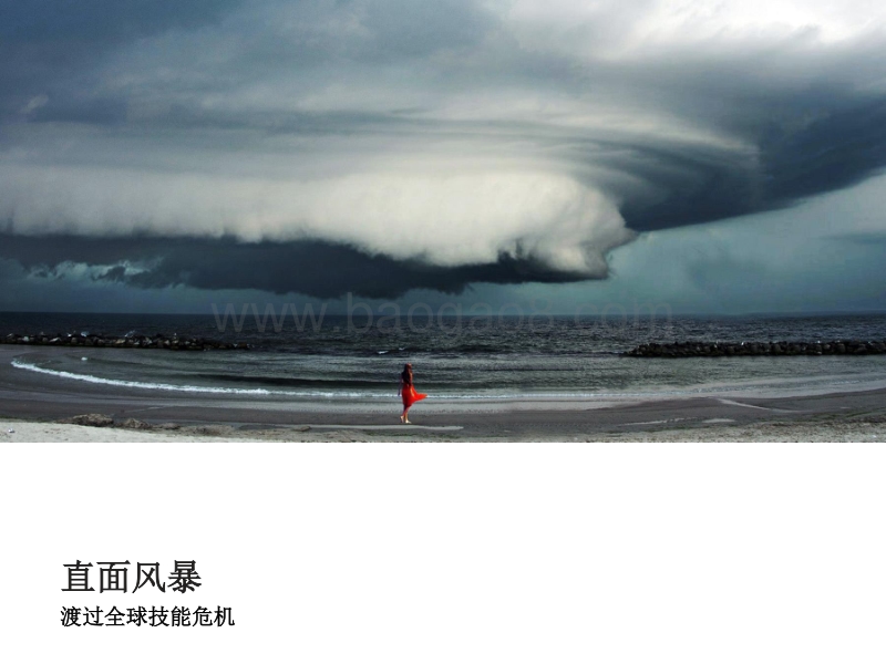 直面风暴：渡过全球技能危机.pdf_第1页