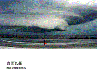直面风暴：渡过全球技能危机.pdf