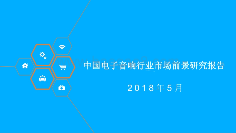 中国电子音响行业市场前景研究报告.pdf_第1页