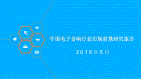 中国电子音响行业市场前景研究报告.pdf