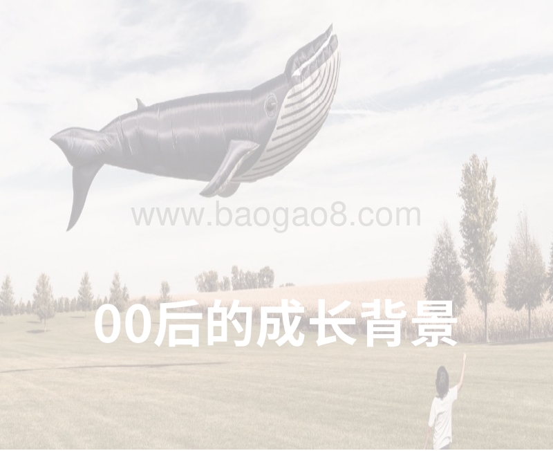 00后来袭：腾讯00后研究报告.pdf_第5页