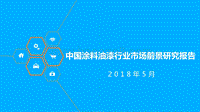 中国涂料油漆行业市场前景研究报告.pdf