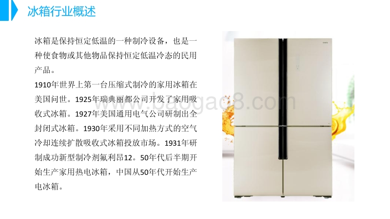 中国冰箱行业市场前景研究报告.pdf_第4页