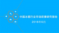 中国冰箱行业市场前景研究报告.pdf
