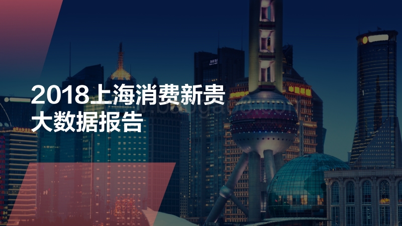 2018上海消费新贵大数据洞察.pdf_第1页