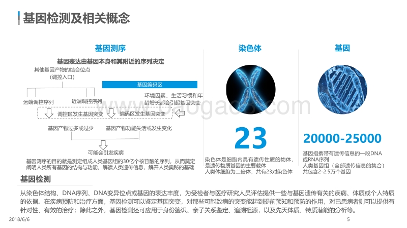 2018中国基因检测行业分析.pdf_第5页