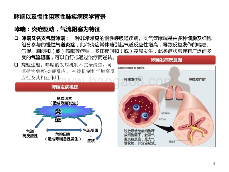 呼吸系统吸入制剂专题：呼吸科吸入制剂，下一个“胰岛素”行业.pdf_第5页