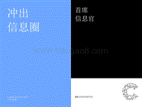 全球最高管理层调研：冲出信息圈.pdf