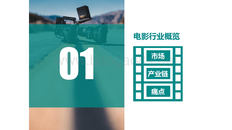 电影人群报告.pdf_第2页