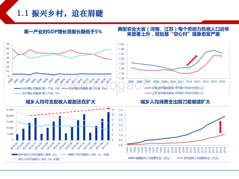 乡村振兴，迎接大众消费时代！.pdf_第4页