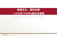 2018年下半年A股投资策略：紧握龙头，拥抱创新.pdf