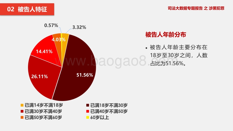 司法大数据专题报告之涉黑犯罪.pdf_第5页