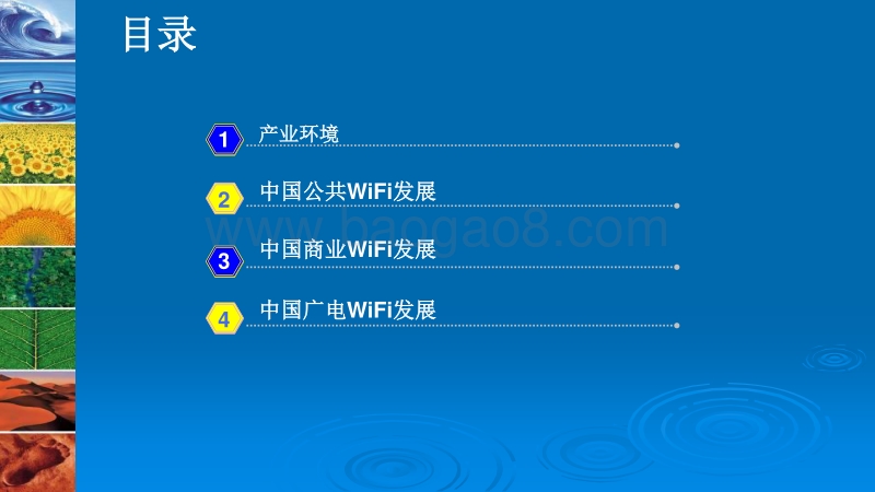 中国WiFi发展白皮书.pdf_第2页