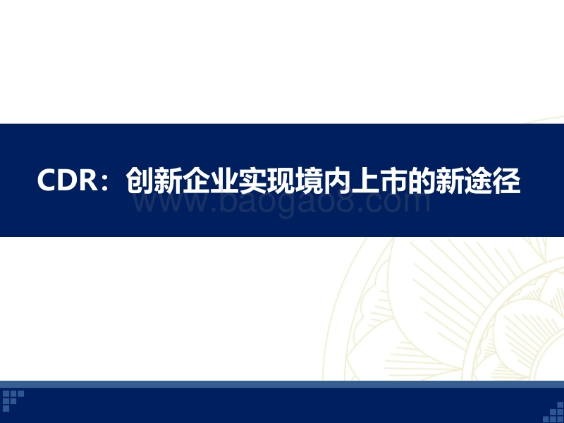 CDR系列十六：CDR如何实现创新企业境内上市——“新股发行暨新股研究中心成立”专题研讨会投资策略.pdf_第4页