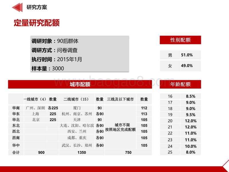 90后：互联网时代的原生民.pdf_第5页