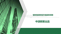 钢铁集团转型升级趋势洞察.pdf