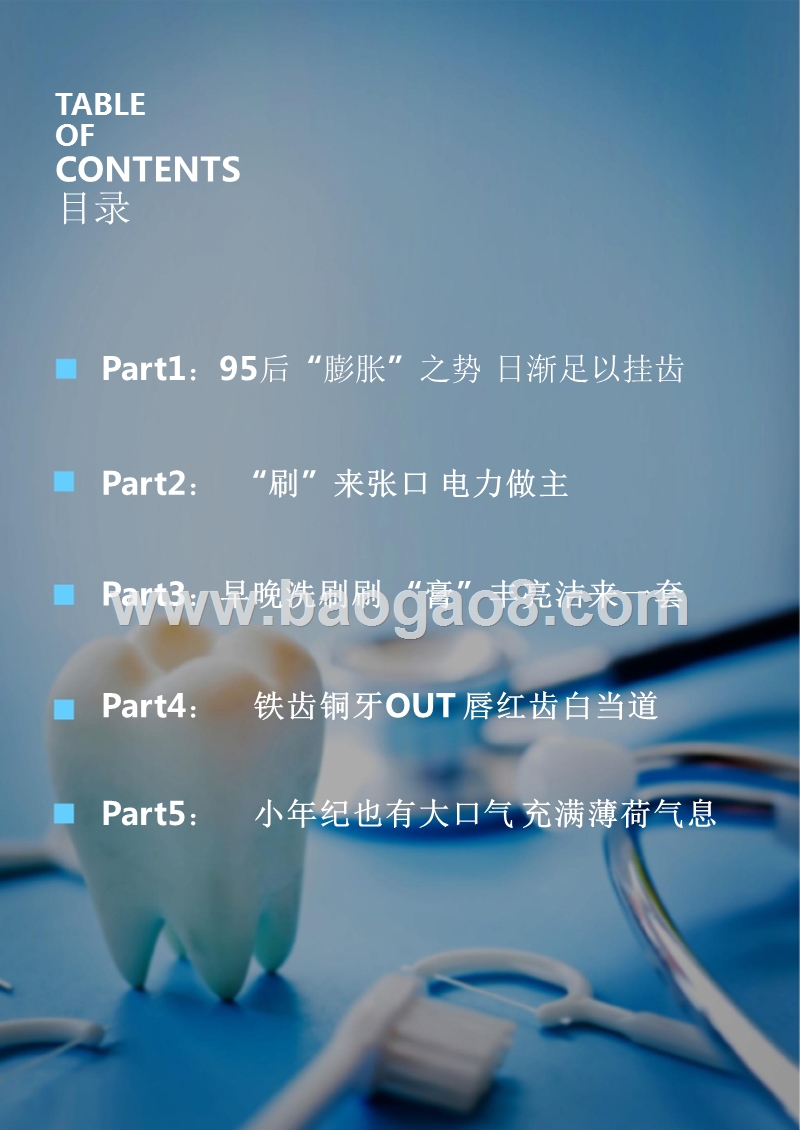 95后线上牙膏&牙刷用品消费研究报告.pptx_第2页