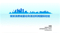 煤炭消费减量化和清洁利用国际经验.pdf