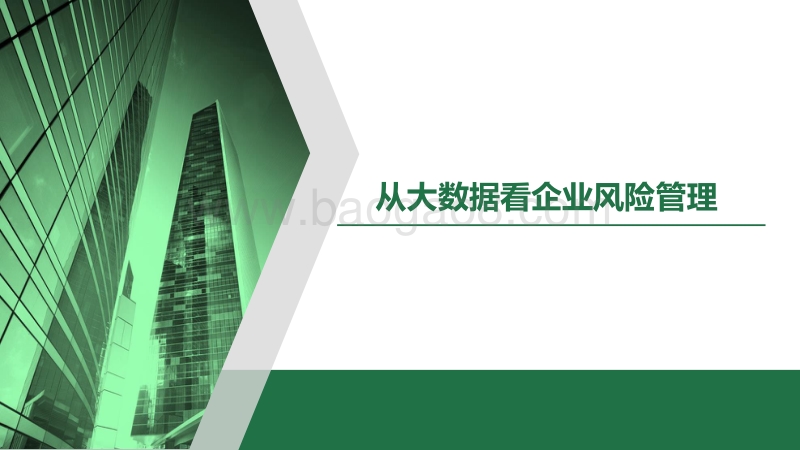 从大数据看企业风险管理.pdf_第1页