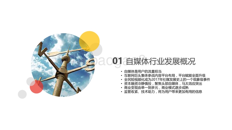 2018年自媒体行业白皮书.pdf_第5页