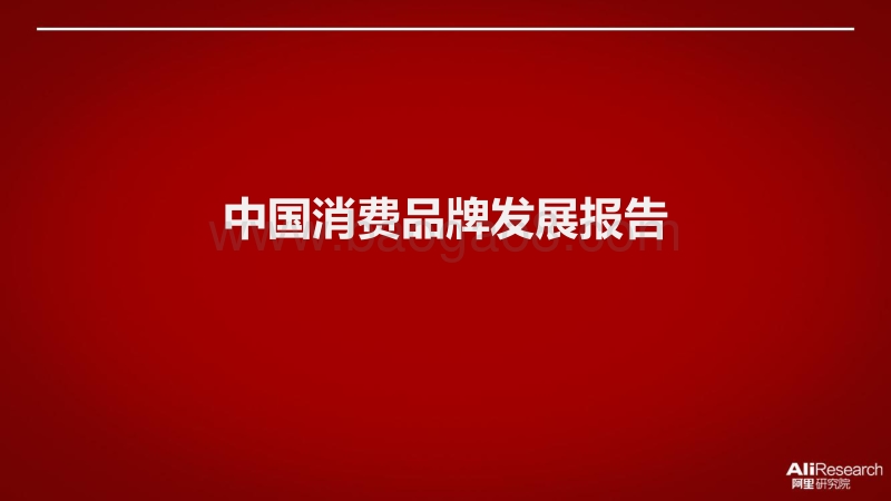 中国消费品牌发展报告.pdf_第1页