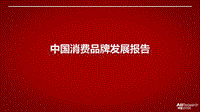 中国消费品牌发展报告.pdf