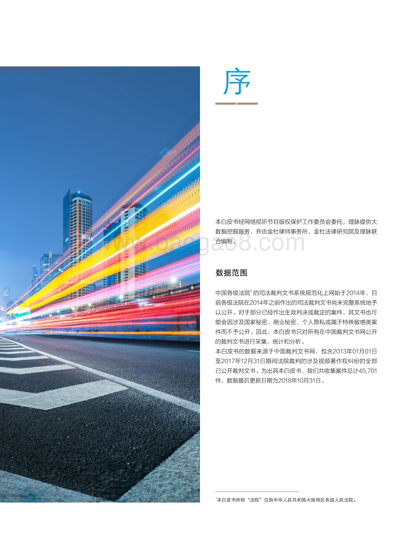 2013-2017视听节目著作权司法保护实务综述及大数据分析白皮书.pdf_第3页