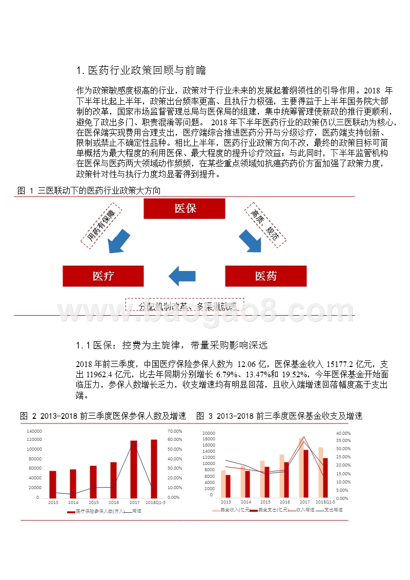 医药生物行业2018总结与2019年上半年投资分析报告.pptx_第5页